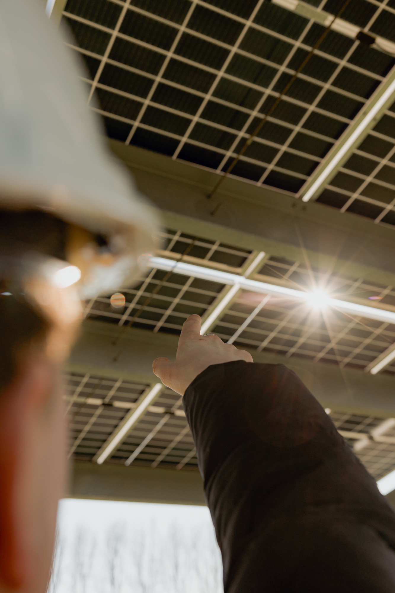 Solar carport biddinghuizen